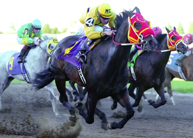 Sam Houston Race Park