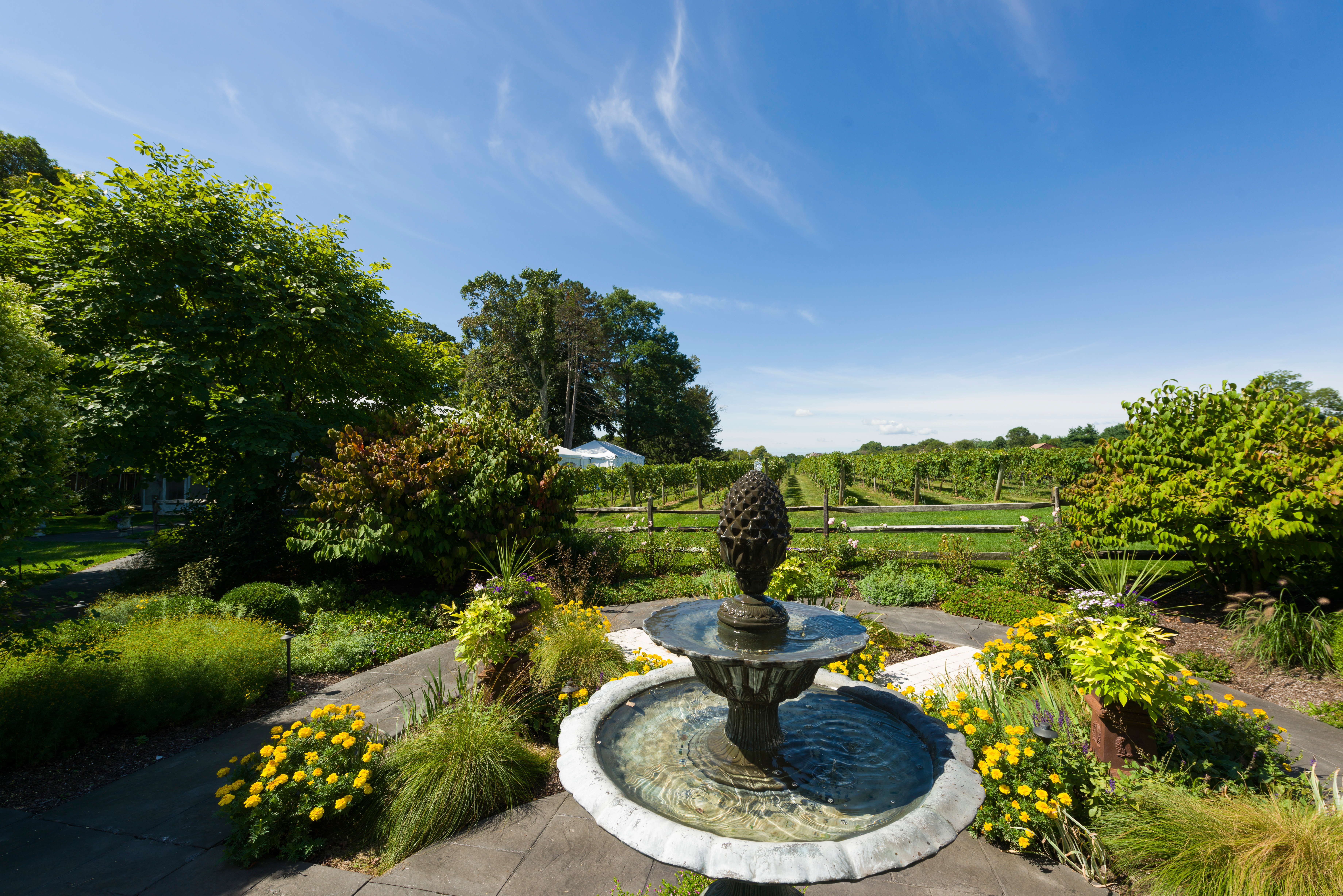 Fountain at Crossing Vineyards