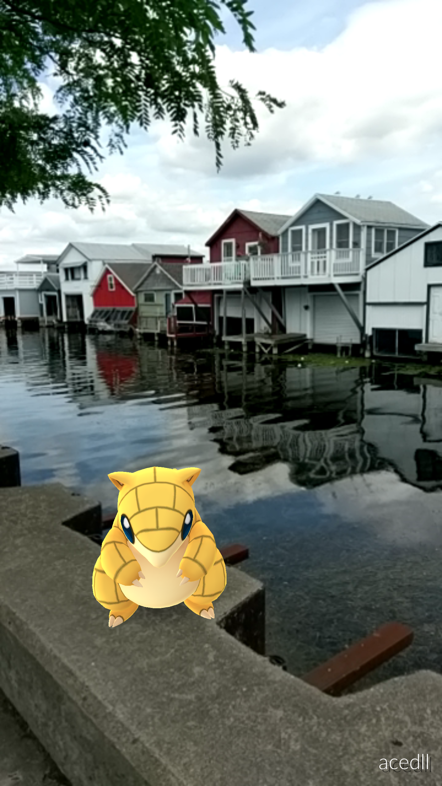 Sandshrew at the Boathouses