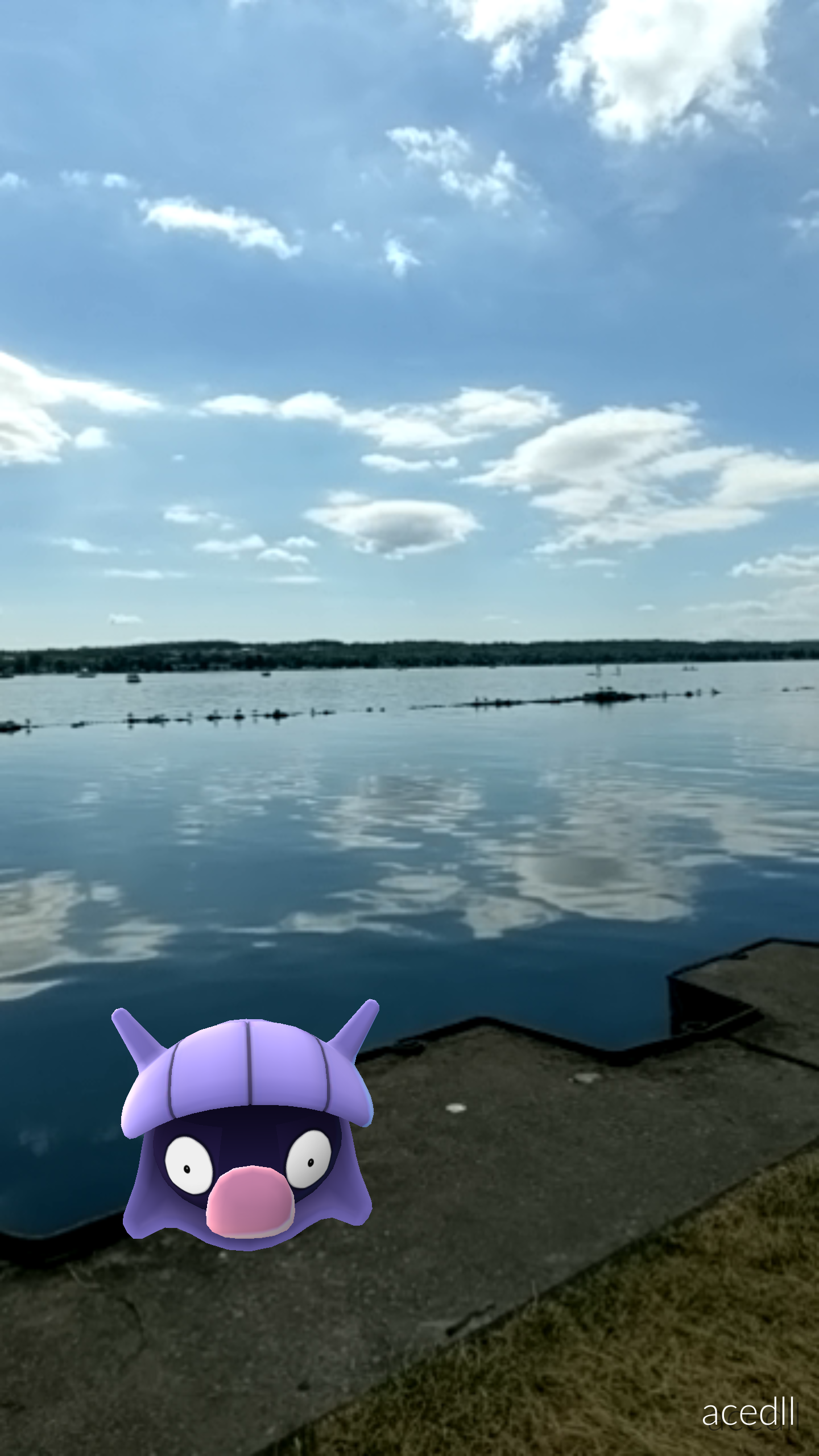A Shelder from PokemonGO sits on a ledge near the waterfront