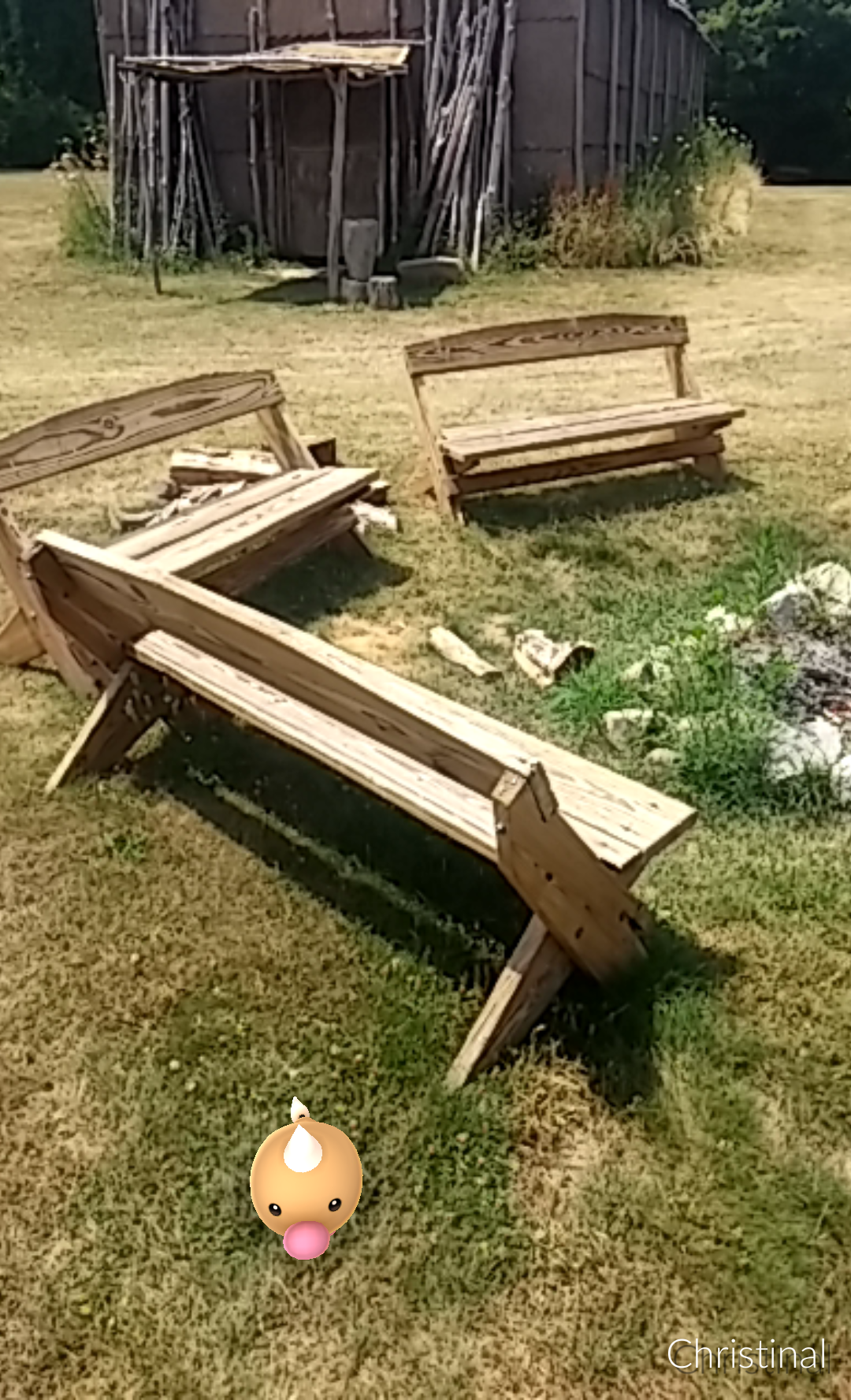 A weedle from Pokemon GO