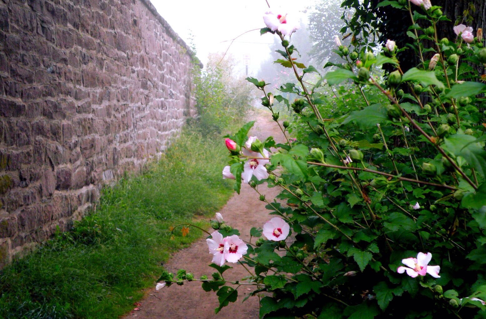 Yardley Canal Towpath Elisa Baxt