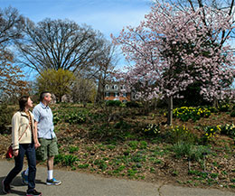 Green Spring Gardens