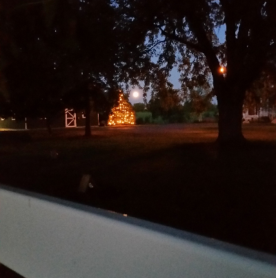 moon-light-finger-lakes-driving-tree