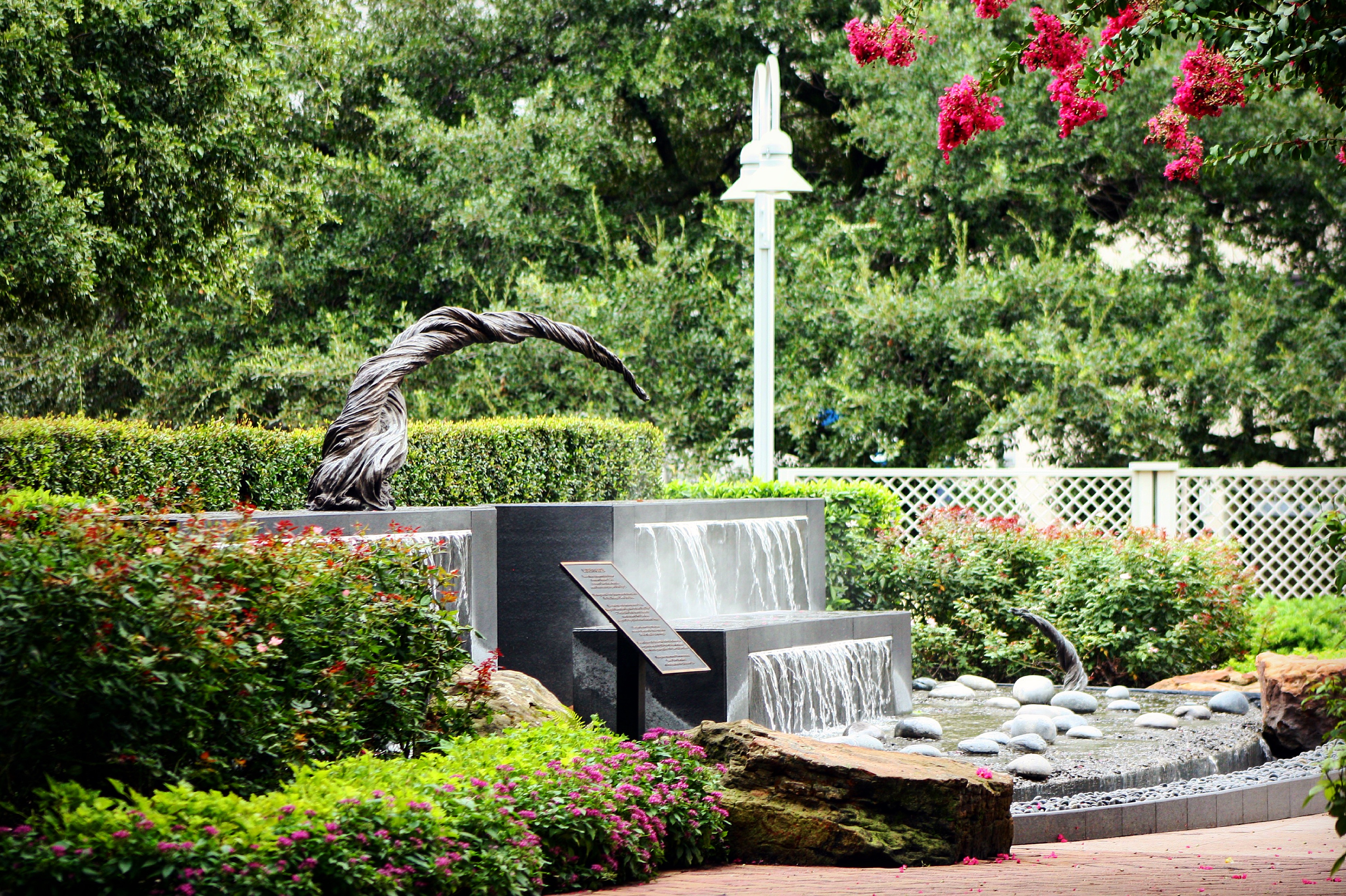 Dog Parks in Houston Find PetFriendly Park Locations & Tips