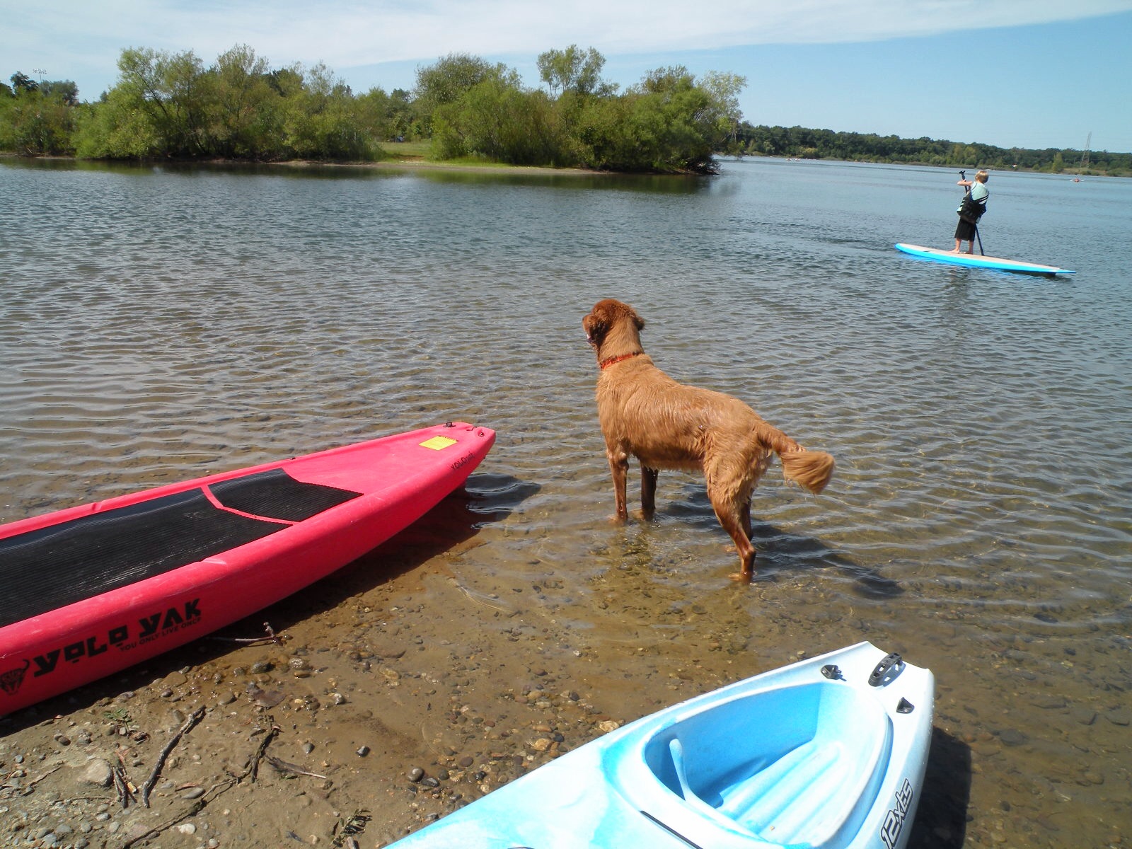 Paddle boarding