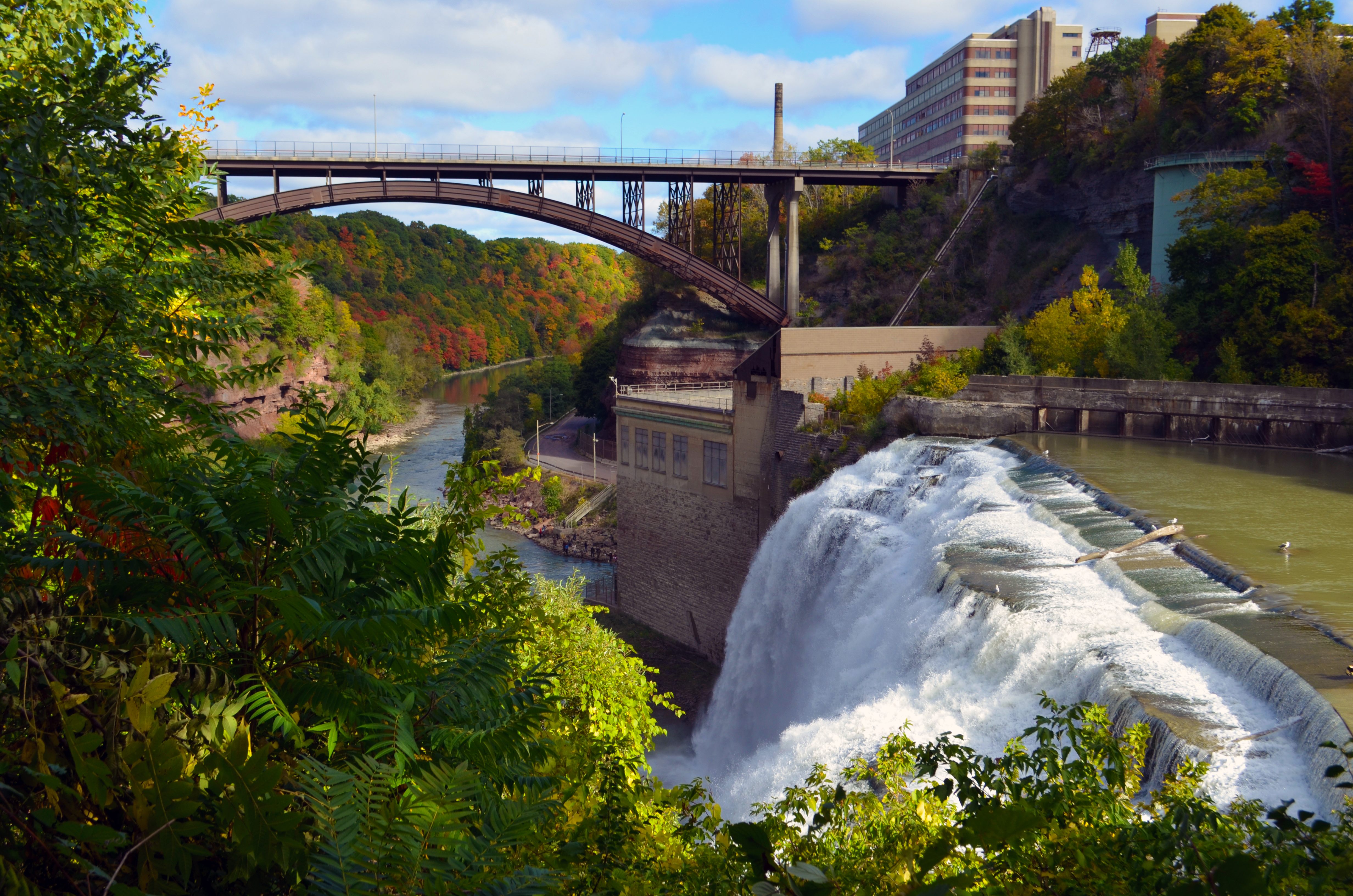 Lower Falls