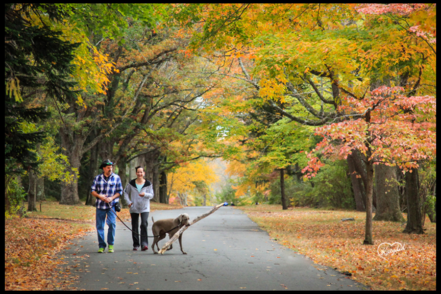 Washington Crossing Historic Park