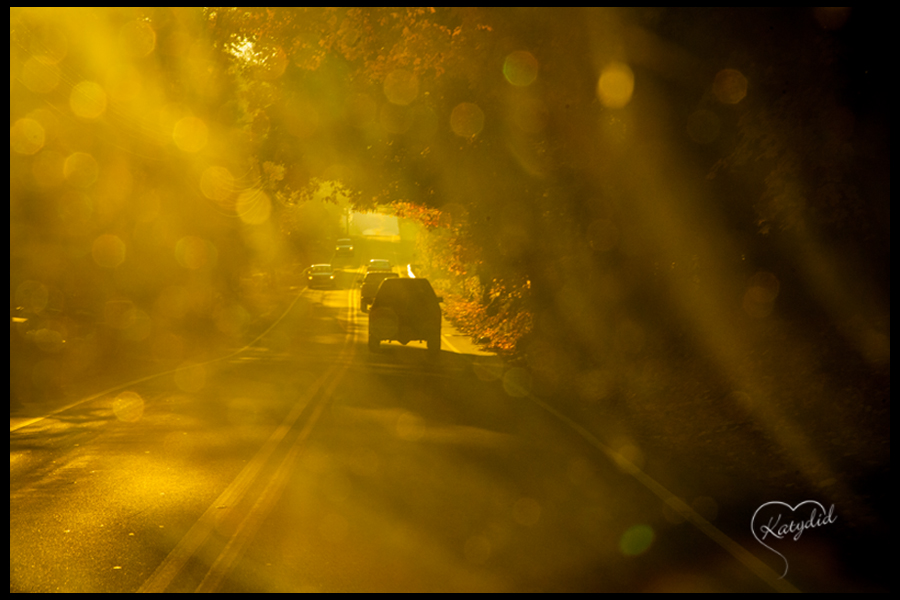 Fall trees and car through window