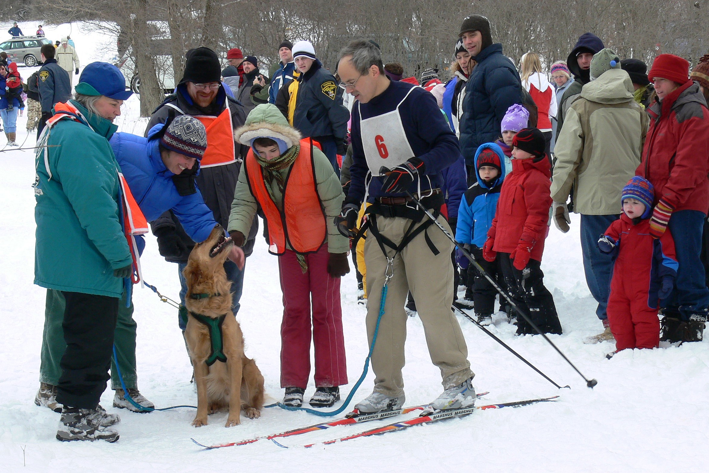 dog sledding at Mendon Ponds Winterfest