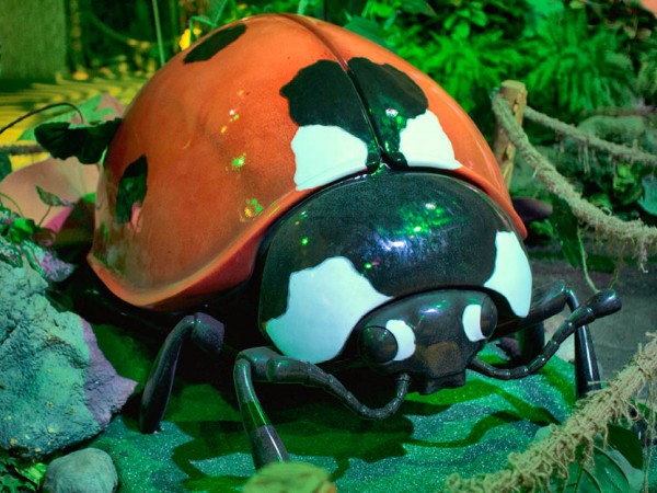 az science center giant insects