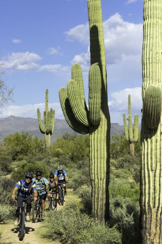 Need a mountain biking tips and a guide? AOA can help with that.