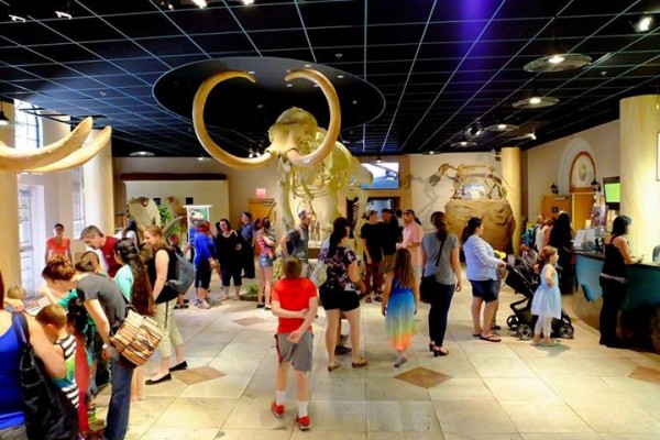 Photo credit: Arizona Museum of Natural History via Facebook