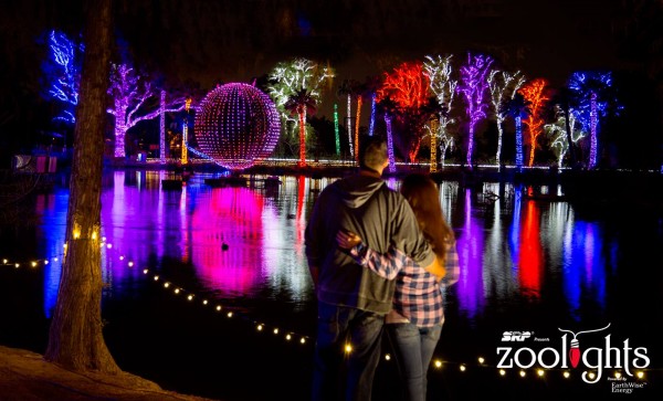 ZooLights at the Phoenix Zoo