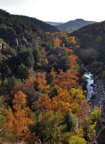 Photo credit: Coconino National Forest on Flickr