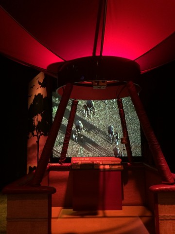Hot air balloon ride Arizona Science Center
