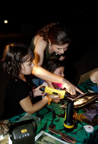 Desert Botanical Garden Flashlight Tour