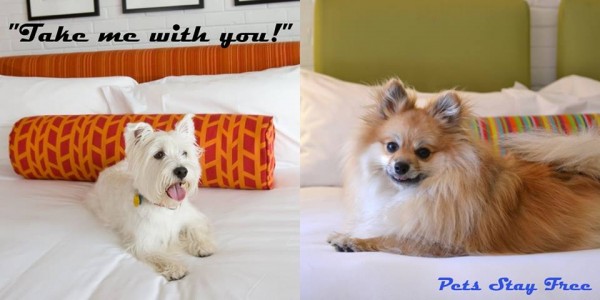 Hotel Valley Ho pets
