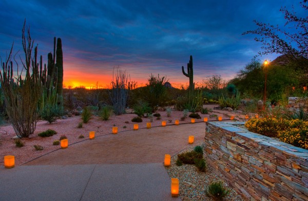 Las Noches de las Luminarias at the Desert Botanical Garden