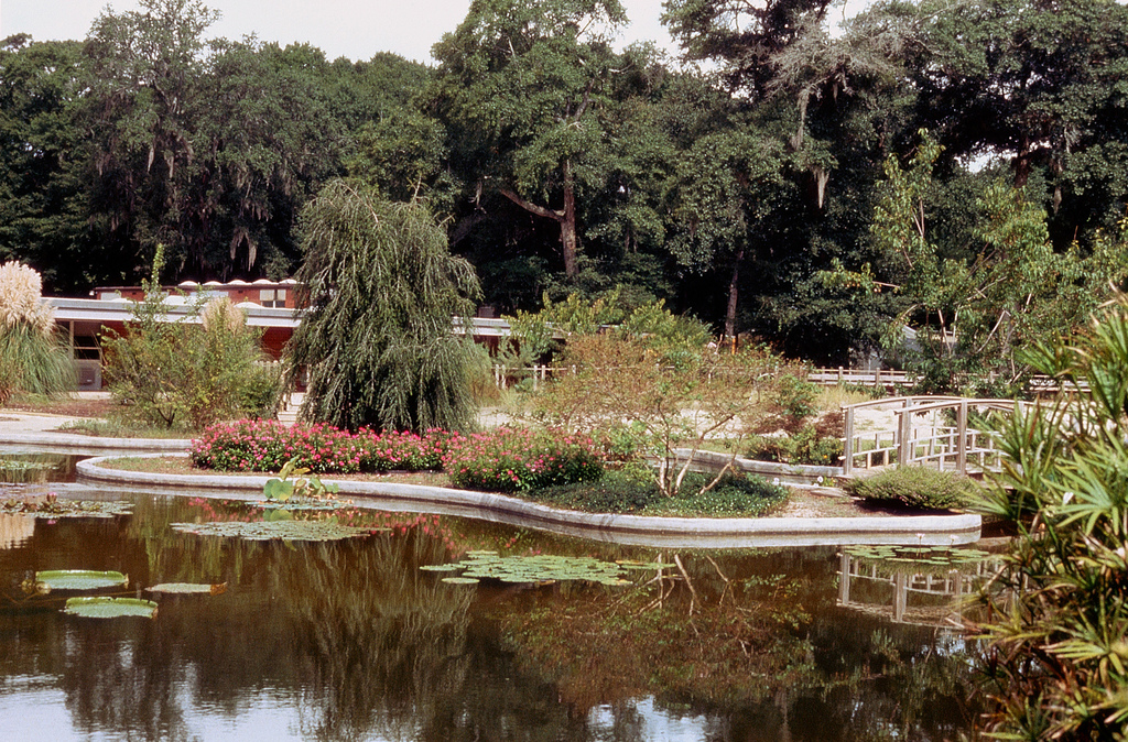 New Hanover County Arboretum