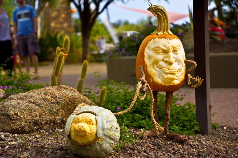 Enchanted Pumpkin Garden