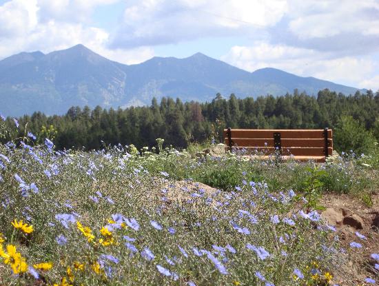Phoenix To Flagstaff >> Top 10 Things To Do In Flagstaff The Hot Sheet Blog Phoenix To Flagstaff >> Top 10 Things To Do In Flagstaff The Hot Sheet Blog