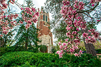 MSU Beaumont Tower