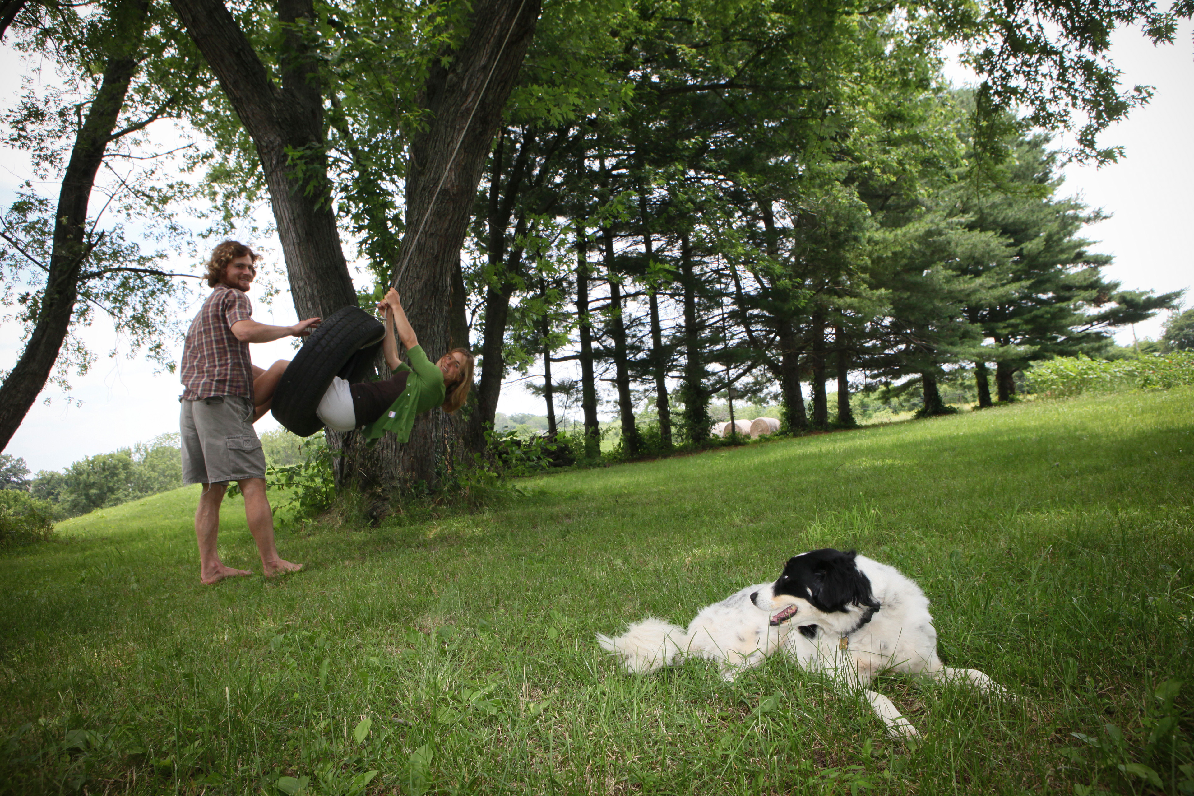 Anchor Run Farm Engagement, Devon John Photography