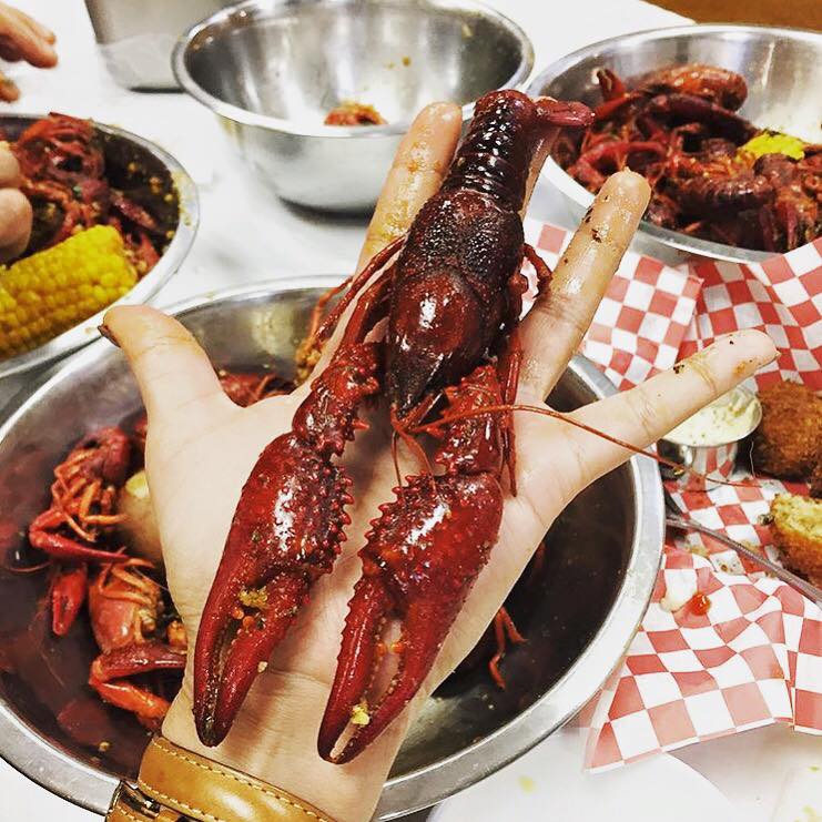 Top 12 Places to Get Crawfish in Houston Find Seafood Restaurants
