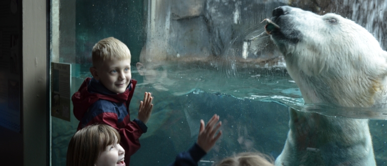 kids with polar bear at the Seneca Park Zoo in Rochester, NY