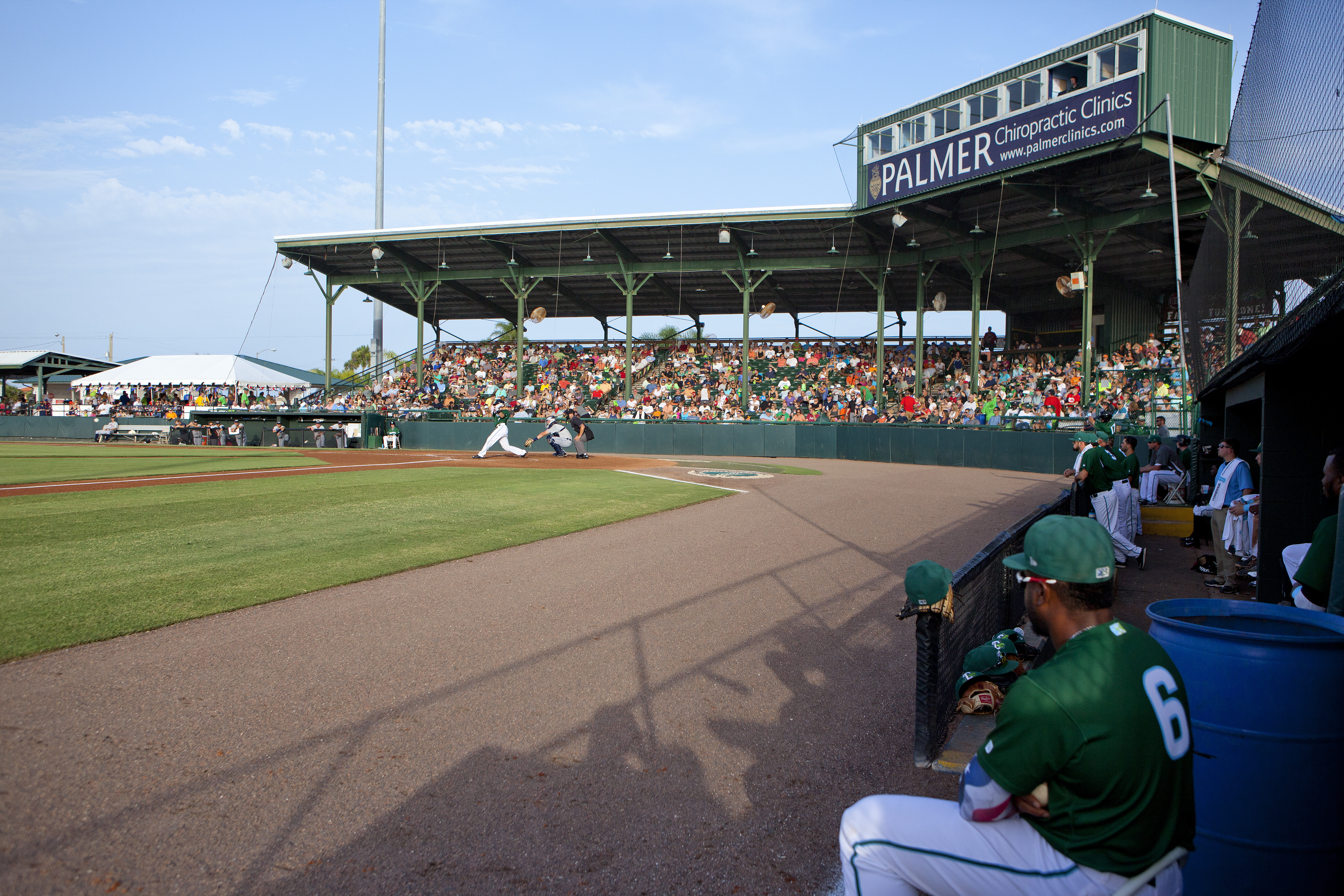 Daytona Tortugas