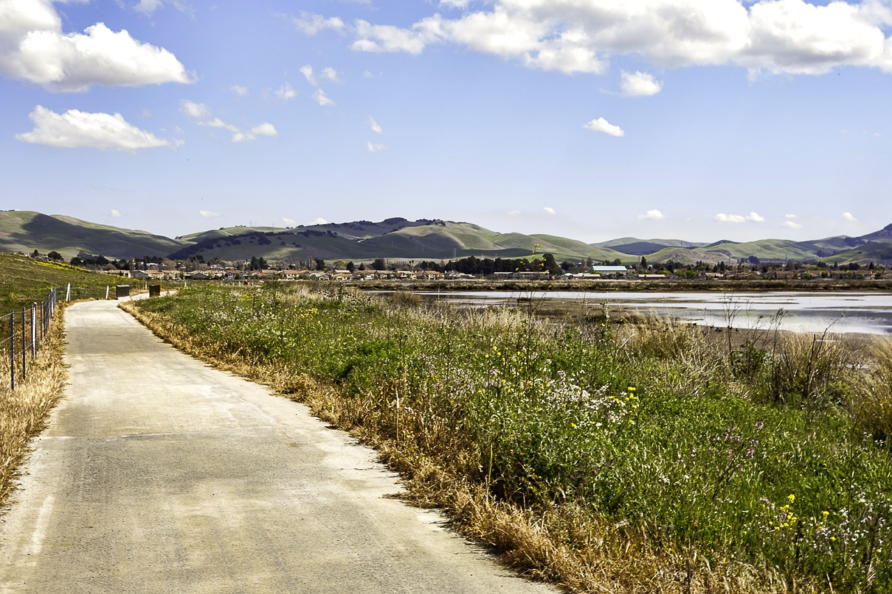 American Canyon Wetlands