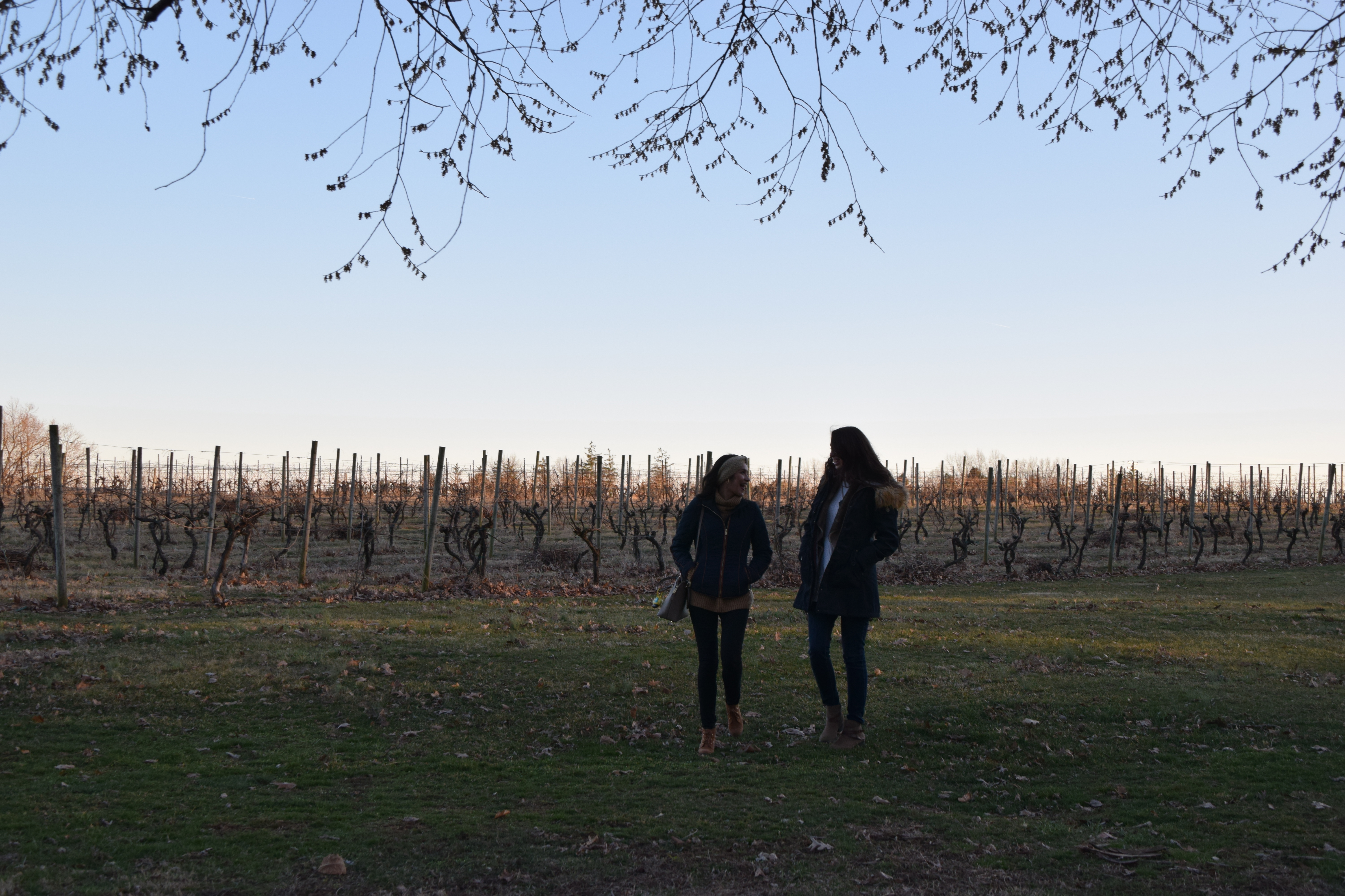 Bucks County Wine Trail