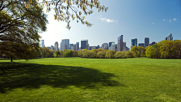 Central Park Central Park