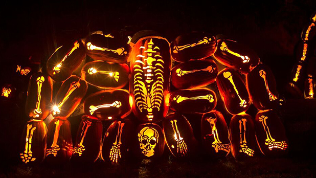 Great Jack O'Lantern Blaze - Photo Courtesy of Historic Hudson Valley by Tom Nycz Great Jack O'Lantern Blaze - Photo Courtesy of Historic Hudson Valley by Tom Nycz