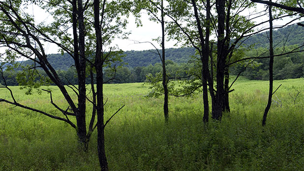 Take A Hike In New York State Head To Stamford For Some High Quality Hiking In The Catskills Region Trek Along West Branch Delaware River Where You Can Find Paths Suited