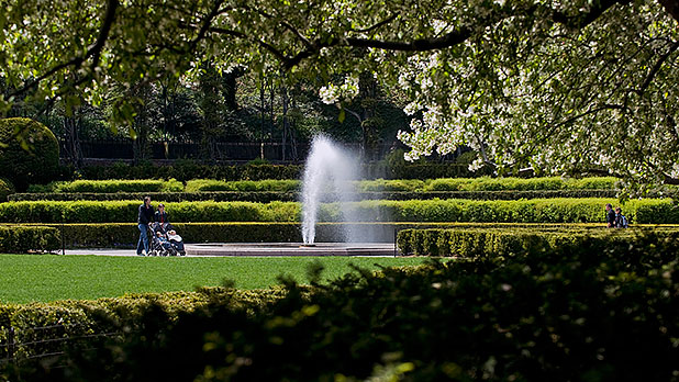 Central Park Central Park
