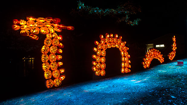 The Great Jack O'Lantern Blaze - Photo Courtesy of Historic Hudson Valley by Tom Nycz The Great Jack O'Lantern Blaze - Photo Courtesy of Historic Hudson Valley by Tom Nycz