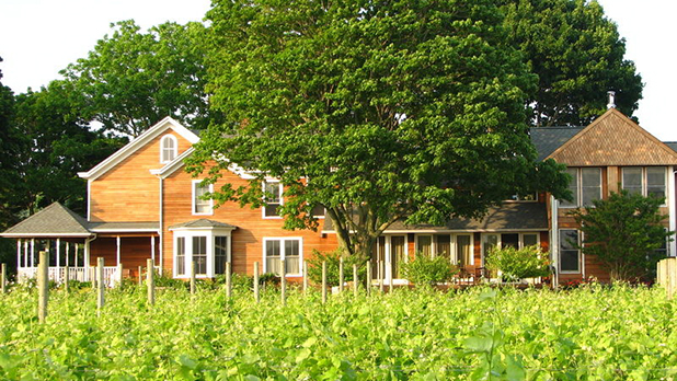 Shinn Estate Vineyards Shinn Estate Vineyards