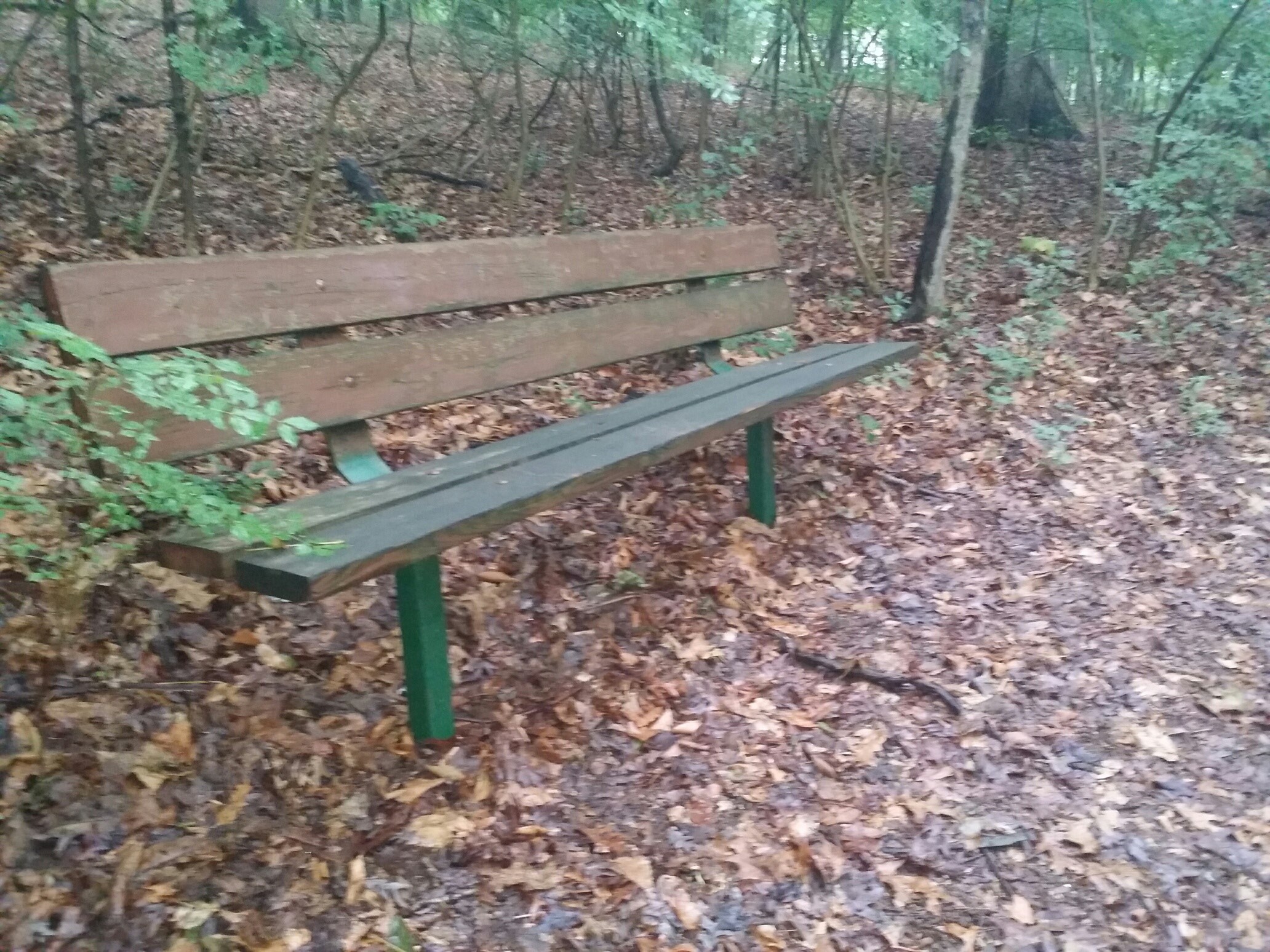 Kid's Castle Nature Preserve bench