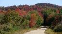 Old Forge area