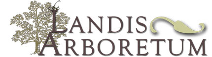 landis.jpg