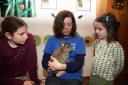 That’s no ordinary rabbit!