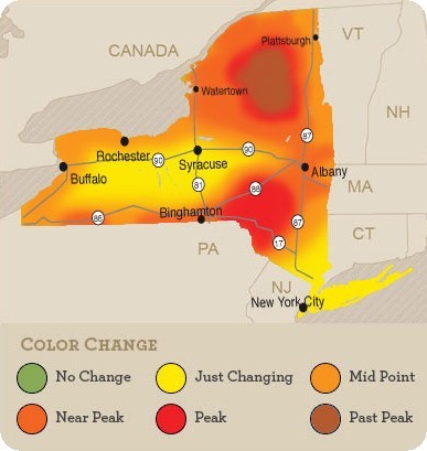 fifth-week-map.jpg