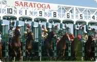 saratoga-race-course.jpg