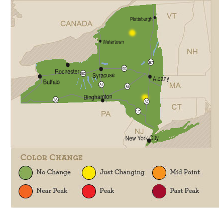 foliage_map_102908.png