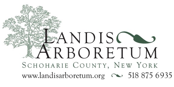 landis.jpg