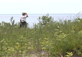 Dune steward scouts birds along the dunes of Eastern Lake Ontario at Black Pond Wildlife Management Area