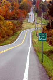 stroadsignfallcurvyvertweb.jpg