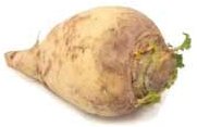 rutabaga.jpg